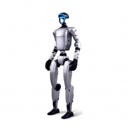 Robot humanoidalny -...