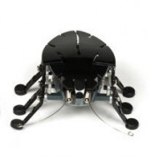 Hexbug Żuczek - 3cm