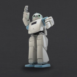 Hovis Eco Plus - robot humanoidalny 20 DoF