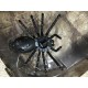 WilDroid - Tarantula WilDroid - Tarantula