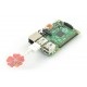RapidRadio USB - moduł bezprzewodowy do Raspberry Pi - 2,4 GHz