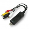 Video Grabber Gembird UVG-002 USB 2.0 - konwerter audio / wideo - zdjęcie 1