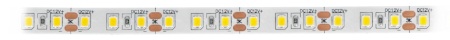 Pasek LED SMD2835 IP20 9,6 W, 120 diod/m, 8 mm, barwa ciepła - 5 m