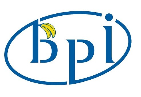 Banana Pi